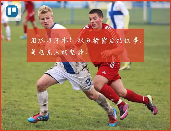 泪水与汗水！积分榜背后的故事，是电竞人的坚持！